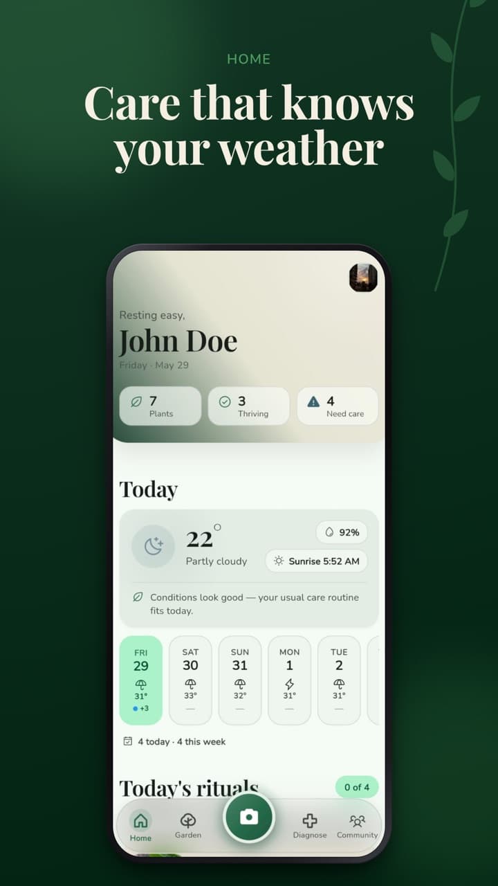Rooted home screen with weather-aware care for the day